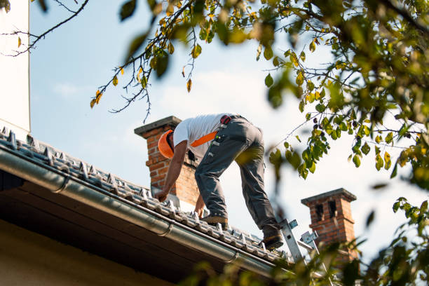 Roof Installation Near Me in Lambertville, MI