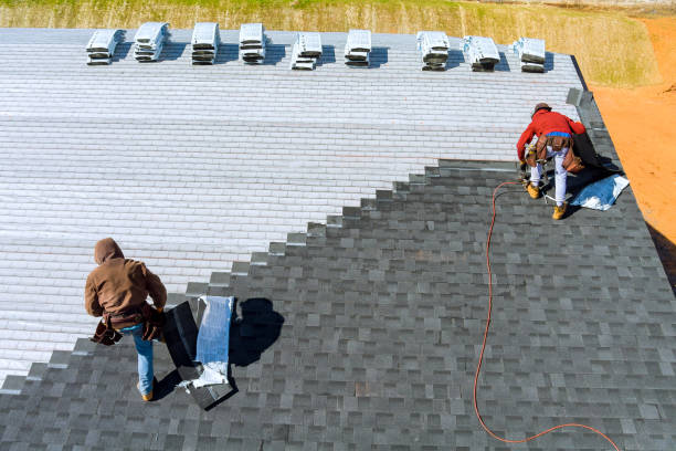 Best Affordable Roof Replacement  in Lambertville, MI