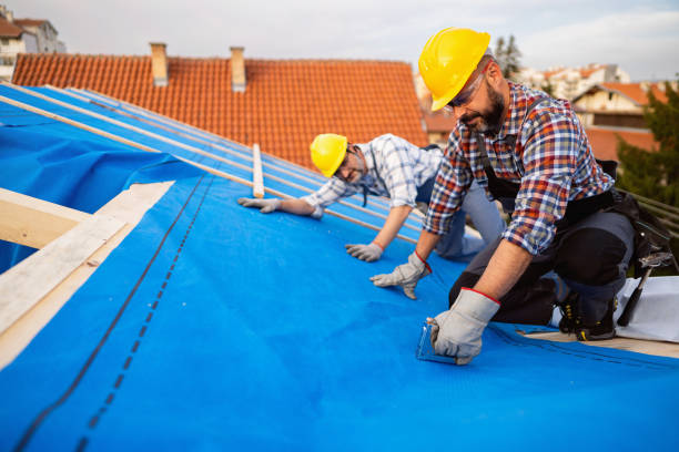 Best Roof Waterproofing Services  in Lambertville, MI