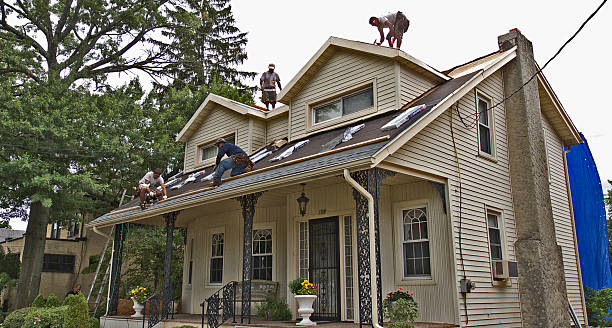 Best Residential Roofing Contractor  in Lambertville, MI