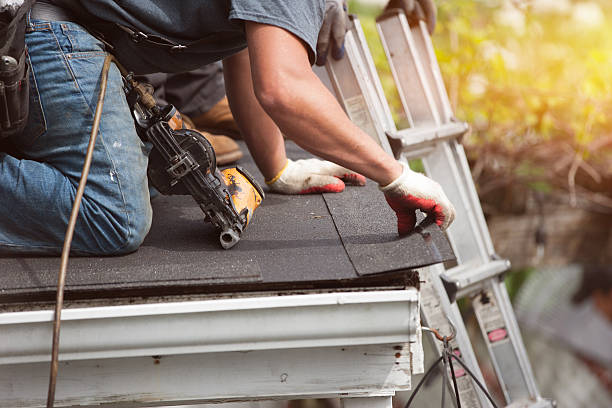 Best Roof Maintenance Services  in Lambertville, MI