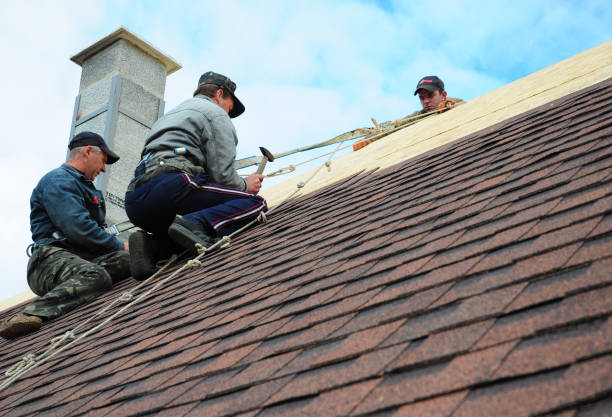 Best Best Roofing Contractors  in Lambertville, MI