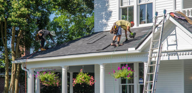 Best Roof Leak Repair  in Lambertville, MI